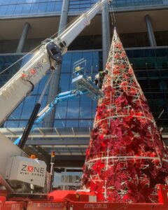 Mini Crane Hire