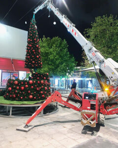 Mini Crane Rentals